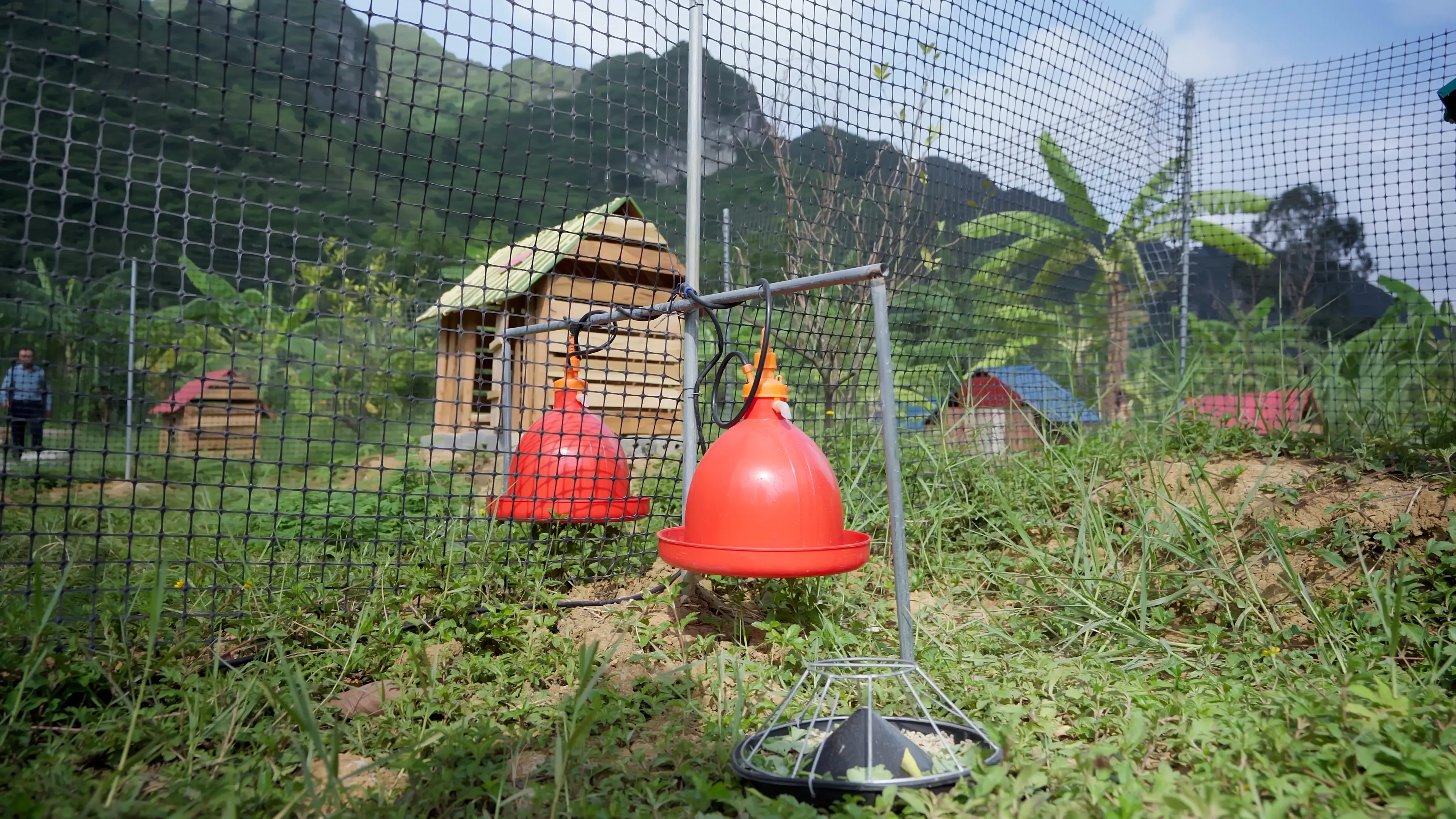 Trang trại gà sạch - Khu vực xử lý vệ sinh